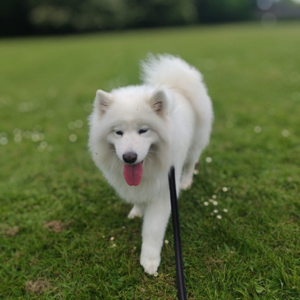 The beautiful fuzzy-wuzzy, cuddly Dolly!