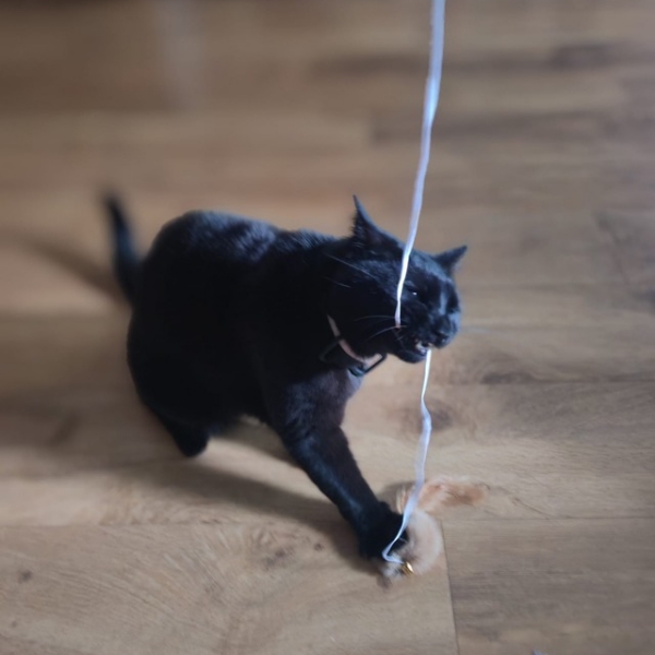 Big Mike!! How long is a piece of string??