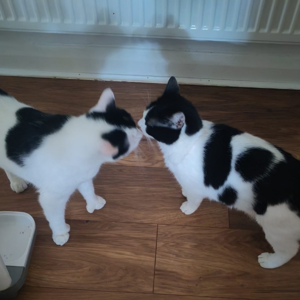 Elton & Mable.. Give us a kiss.. 